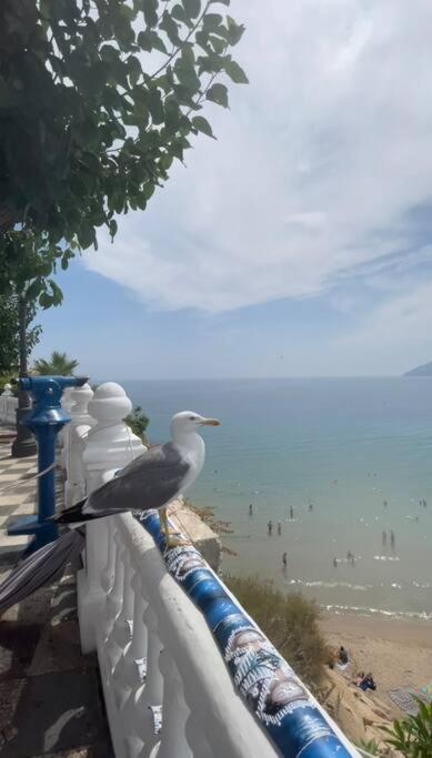 Apartamento Centrico Y En Primera Linea De Playa Apartment Benidorm Luaran gambar
